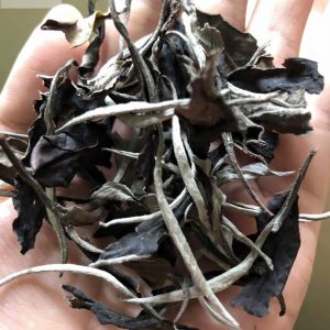 Bạch trà mẫu đơn shan tuyết 1 tôm 2 lá