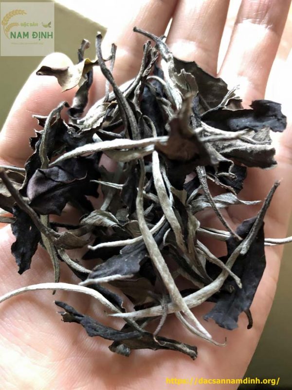 Bạch trà mẫu đơn shan tuyết 1 tôm 2 lá