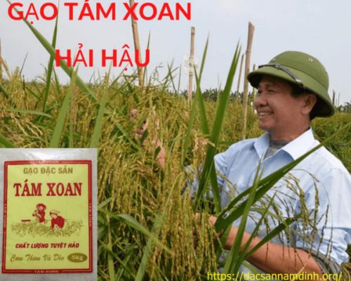 Top1 8Day thế giới trò chơi tài xỉu 8Day11 phiên bản mới nhất thơm và 8Day11 phiên bản mới nhất xoan Hải Hậu không nên bỏ lỡ