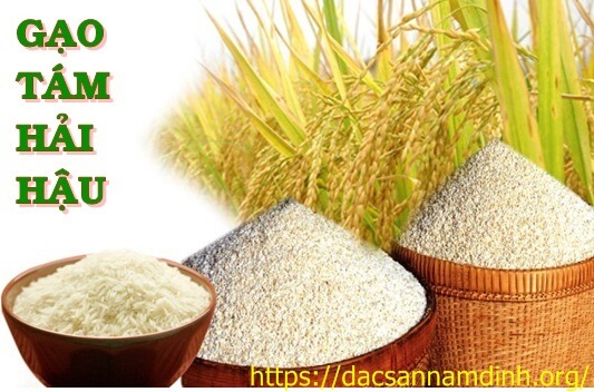 Phân loại 8Day11 phiên bản mới nhất thơm Hải Hậu 8Day - trang web uy tín đăng ký & đăng nhập dễ dàng