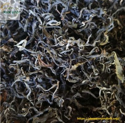 Trà phổ nhĩ sống