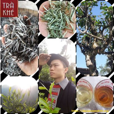 Mua trà shan tuyết ở đâu?