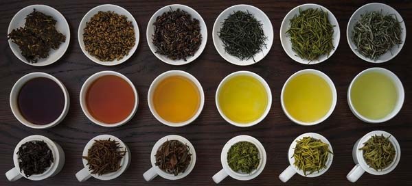 Phân loại Trà Shan Tuyết