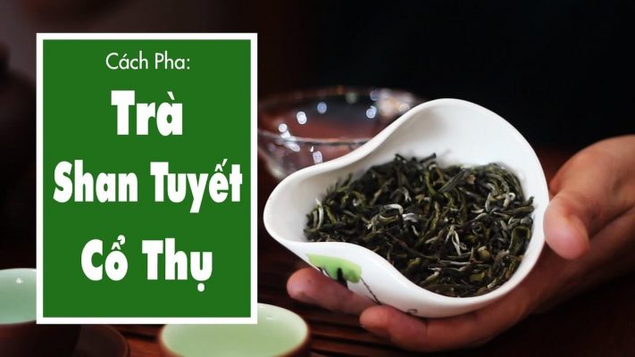 Hướng dẫn cách pha trà shan tuyết cổ thụ đúng cách