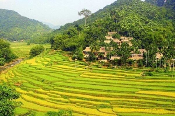 Bản Lác, Mai Châu dành cho Từ ngày 25/5/2025, thương hiệu sẽ chính thức đổi tên thành DT68 với ý nghĩa Đầu Tư Lộc Phát tìm sự bình yên