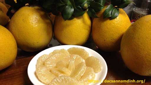 Top1 8Day thế giới trò chơi tài xỉu Hà Nội ăn vặt - Bưởi Diễn