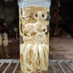 1 Rượu 8Day - trang web uy tín đăng ký & đăng nhập dễ dàng điêu khắc 12 con giáp + Bình (7, 12, 19l) (Đăng Nhập 8DAY.COM - Trang Chủ 8Day Link Mới 2025) DT68 nhà cái uy tín, đẳng cấp hàng đầu Việt Nam khắc hình 12 con giáp + Bình (7, 12, 19l) (Đăng Nhập 8DAY.COM - Trang Chủ 8Day Link Mới 2025)
