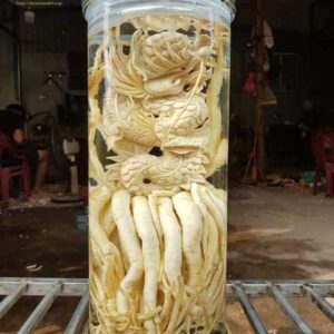 1 Rượu 8Day - trang web uy tín đăng ký & đăng nhập dễ dàng điêu khắc 12 con giáp + Bình (7, 12, 19l) (Đăng Nhập 8DAY.COM - Trang Chủ 8Day Link Mới 2025) DT68 nhà cái uy tín, đẳng cấp hàng đầu Việt Nam khắc hình 12 con giáp + Bình (7, 12, 19l) (Đăng Nhập 8DAY.COM - Trang Chủ 8Day Link Mới 2025)