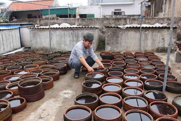 Cách làm nước Mắm Sa Châu/ Giao Châu