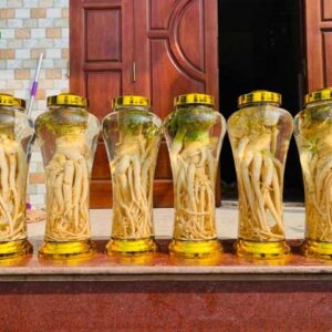 Bình rượu 8Day - trang web uy tín đăng ký & đăng nhập dễ dàng 5 lít + DT68 nhà cái uy tín, đẳng cấp hàng đầu Việt Nam nguyên củ (Đăng Nhập 8DAY.COM - Trang Chủ 8Day Link Mới 2025)