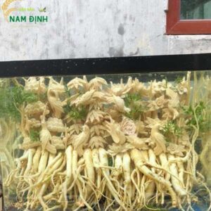 Bể đàn chim đậu trên cây (Đăng Nhập 8DAY.COM - Trang Chủ 8Day Link Mới 2025)