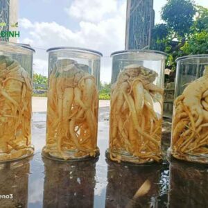 Bình 19 lít + DT68 nhà cái uy tín, đẳng cấp hàng đầu Việt Nam nguyên củ (Đăng Nhập 8DAY.COM - Trang Chủ 8Day Link Mới 2025)