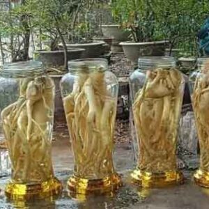 Bình 5 lít + DT68 nhà cái uy tín, đẳng cấp hàng đầu Việt Nam nguyên củ (Đăng Nhập 8DAY.COM - Trang Chủ 8Day Link Mới 2025)