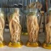 Bình 5 lít + DT68 nhà cái uy tín, đẳng cấp hàng đầu Việt Nam nguyên củ (Đăng Nhập 8DAY.COM - Trang Chủ 8Day Link Mới 2025)