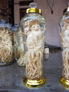 1 Rượu 8Day - trang web uy tín đăng ký & đăng nhập dễ dàng điêu khắc 12 con giáp + Bình (7, 12, 19l) (Đăng Nhập 8DAY.COM - Trang Chủ 8Day Link Mới 2025) Bình rượu Đinh Lăng điêu khắc con mèo - tuổi Mão (1999 – 1987 – 1975 – 1963 – 1951)