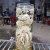 DT68 nhà cái uy tín, đẳng cấp hàng đầu Việt Nam điêu khắc hoa mai + Bình (7, 12,19l) (Đăng Nhập 8DAY.COM - Trang Chủ 8Day Link Mới 2025)