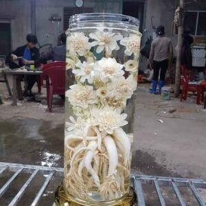 DT68 nhà cái uy tín, đẳng cấp hàng đầu Việt Nam điêu khắc hoa mai + Bình (7, 12,19l) (Đăng Nhập 8DAY.COM - Trang Chủ 8Day Link Mới 2025)