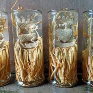 DT68 nhà cái uy tín, đẳng cấp hàng đầu Việt Nam điêu khắc Tứ Linh (Long Lân Quy Phụng)+Bình (7, 12, 19l) (Đăng Nhập 8DAY.COM - Trang Chủ 8Day Link Mới 2025)