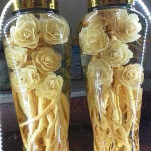 DT68 nhà cái uy tín, đẳng cấp hàng đầu Việt Nam khắc hình bông hoa hồng + Bình (7, 12, 19l) (Đăng Nhập 8DAY.COM - Trang Chủ 8Day Link Mới 2025)