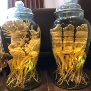 DT68 nhà cái uy tín, đẳng cấp hàng đầu Việt Nam điêu khắc Tứ Linh (Long Lân Quy Phụng)+Bình (7, 12, 19l) (Đăng Nhập 8DAY.COM - Trang Chủ 8Day Link Mới 2025)