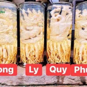 DT68 nhà cái uy tín, đẳng cấp hàng đầu Việt Nam điêu khắc Tứ Linh (Long Lân Quy Phụng)+Bình (7, 12, 19l) (Đăng Nhập 8DAY.COM - Trang Chủ 8Day Link Mới 2025)