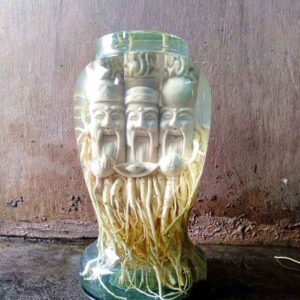 DT68 nhà cái uy tín, đẳng cấp hàng đầu Việt Nam điêu khắc Bộ Tam Đa - Phúc Lộc Thọ + Bình (7, 12, 19l) (Đăng Nhập 8DAY.COM - Trang Chủ 8Day Link Mới 2025)