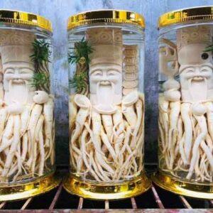 DT68 nhà cái uy tín, đẳng cấp hàng đầu Việt Nam điêu khắc Bộ Tam Đa - Phúc Lộc Thọ + Bình (7, 12, 19l) (Đăng Nhập 8DAY.COM - Trang Chủ 8Day Link Mới 2025)