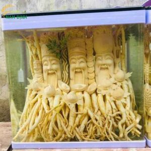 DT68 nhà cái uy tín, đẳng cấp hàng đầu Việt Nam điêu khắc Bộ Tam Đa - Phúc Lộc Thọ + Bình (7, 12, 19l) (Đăng Nhập 8DAY.COM - Trang Chủ 8Day Link Mới 2025)