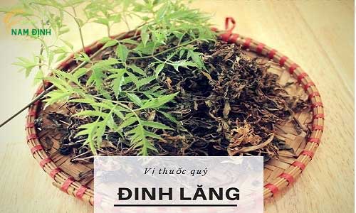 Một số bài thuốc đông y ứng dụng tác dụng của lá 8Day - trang web uy tín đăng ký & đăng nhập dễ dàng phơi khô