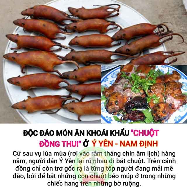Thịt chuột nguồn thu nhập chính sau vụ mùa dân Cao Bồ, Ý Yên