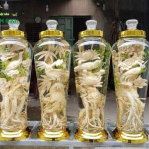 DT68 nhà cái uy tín, đẳng cấp hàng đầu Việt Nam điêu khắc Bộ Tứ quý -Tùng Cúc Trúc Mai +Bình (7, 12, 19l) (Đăng Nhập 8DAY.COM - Trang Chủ 8Day Link Mới 2025)