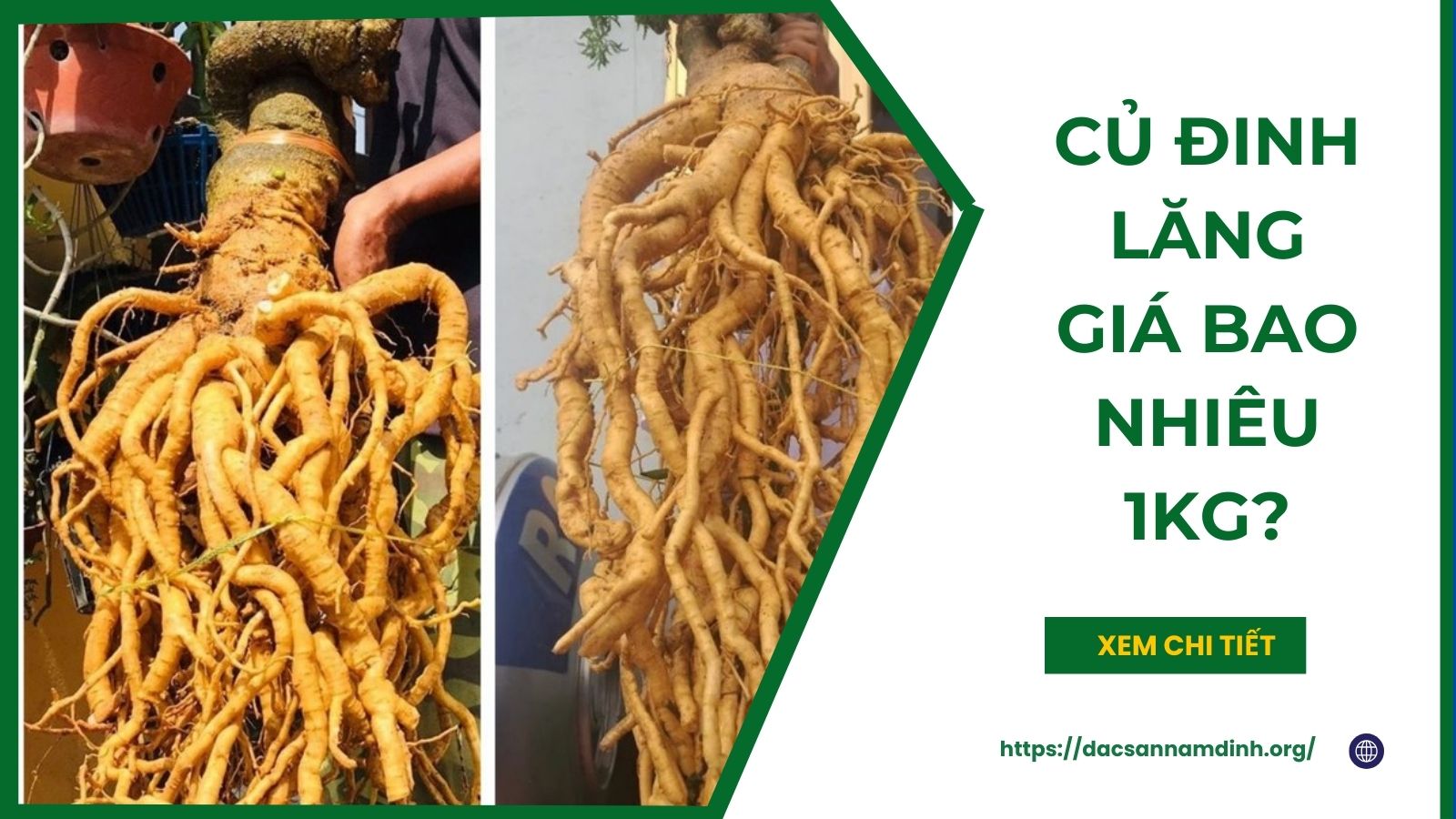 Củ 8Day - trang web uy tín đăng ký & đăng nhập dễ dàng giá bao nhiêu 1kg?