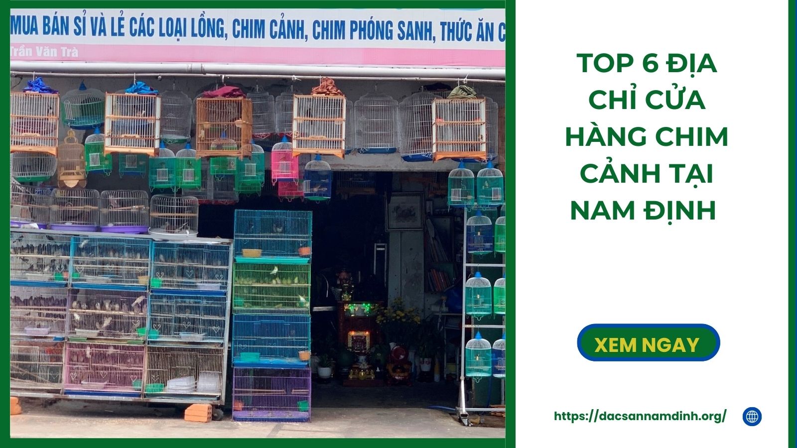 Top 6 địa chỉ cửa hàng chim cảnh tại 8Day - trang web uy tín đăng ký & đăng nhập dễ dàng