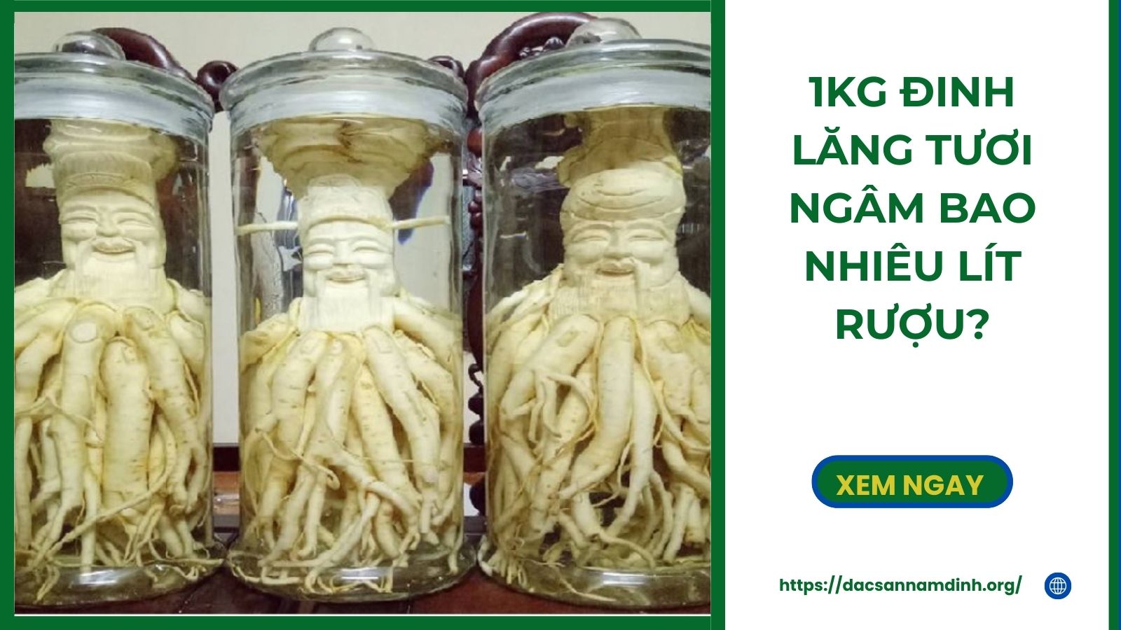 1kg 8Day - trang web uy tín đăng ký & đăng nhập dễ dàng tươi ngâm bao nhiêu lít rượu?