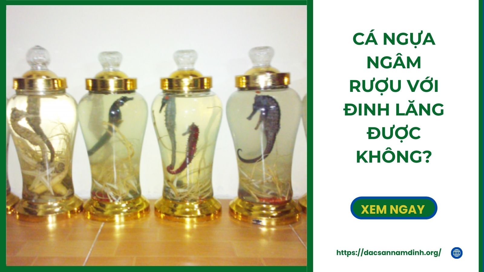 Cá Ngựa Ngâm Rượu Với Đinh Lăng Được Không?