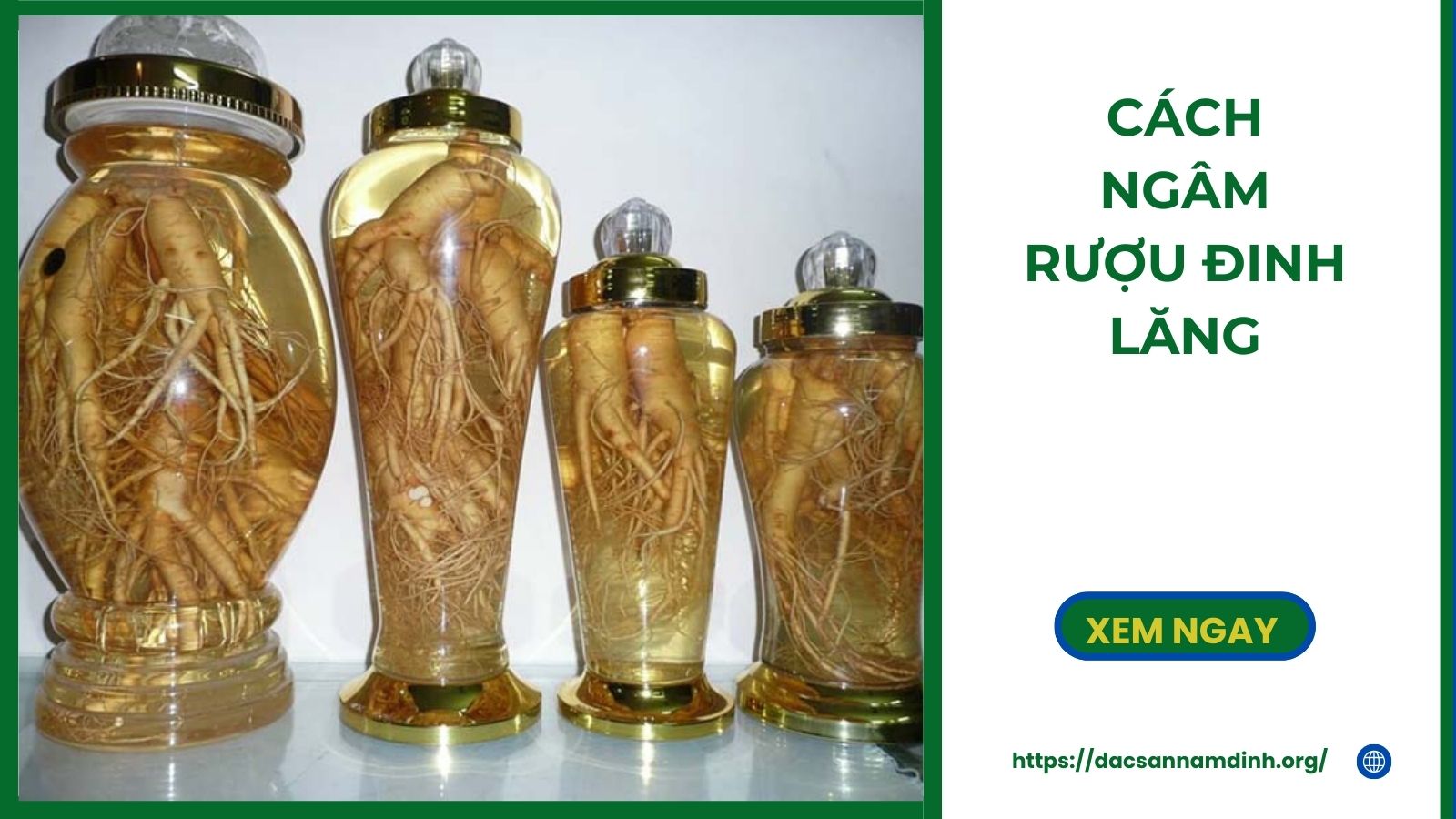 Cách Ngâm Rượu Đinh Lăng Đúng Chuẩn Mang Lại Hiệu Quả Tốt Cho Sức Khỏe