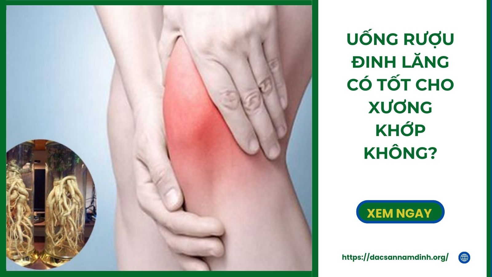 Uống Rượu Đinh Lăng Có Tốt Cho Xương Khớp Không?