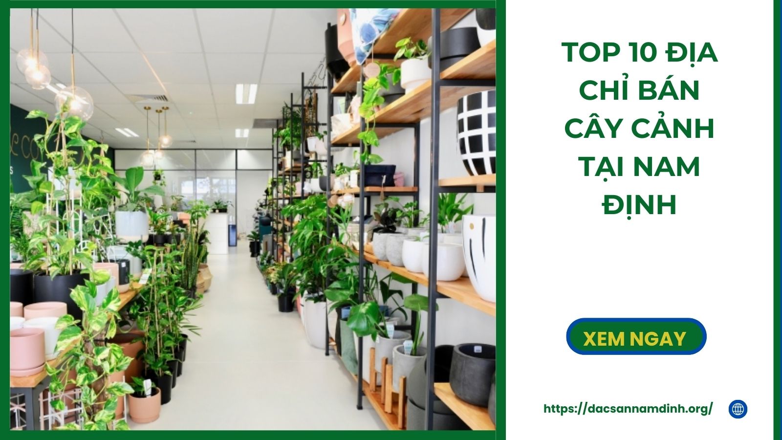 Top 10 Địa Chỉ Bán Cây Cảnh Tại 8Day - trang web uy tín đăng ký & đăng nhập dễ dàng Độc Lạ Đẹp