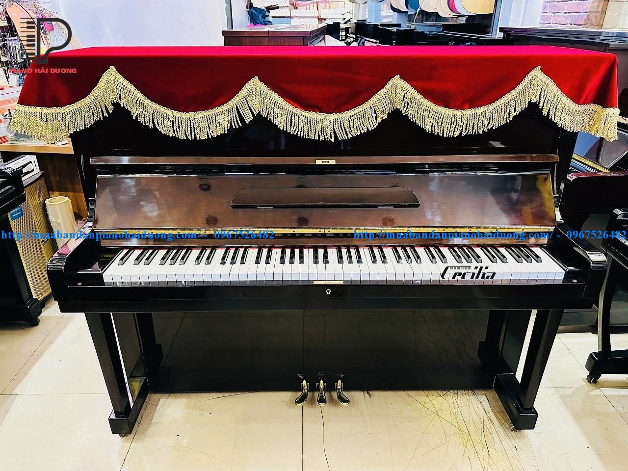 Cửa Hàng Mua Bán Đàn Piano Tại Hải Phòng, Hải Dương Uy Tín