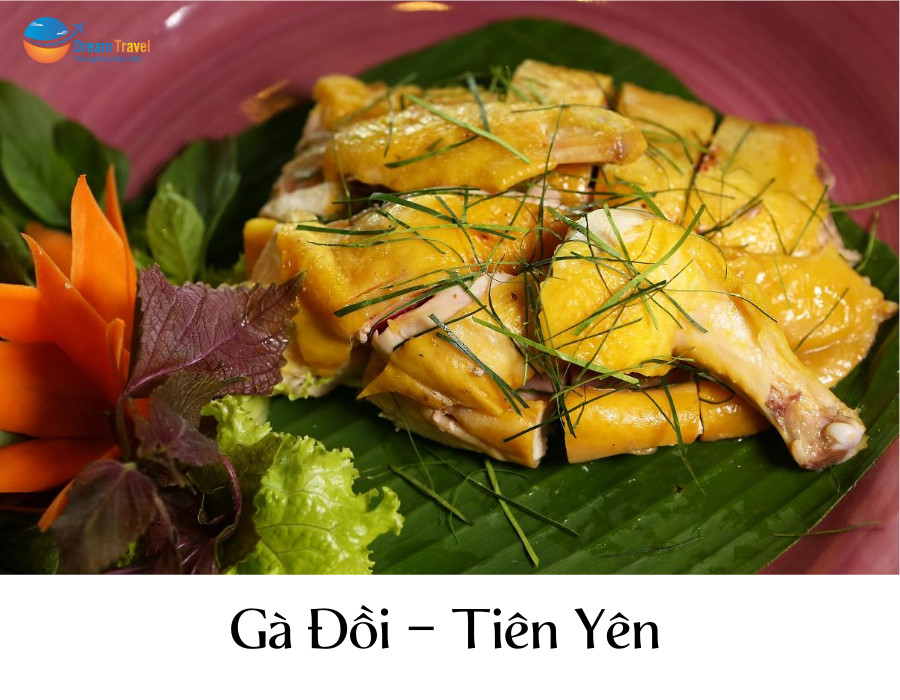 Khám Phá Hương Vị Tuyệt Hảo Của Các Món 8Dayvn con khuyến mãi lớn Miền Bắc