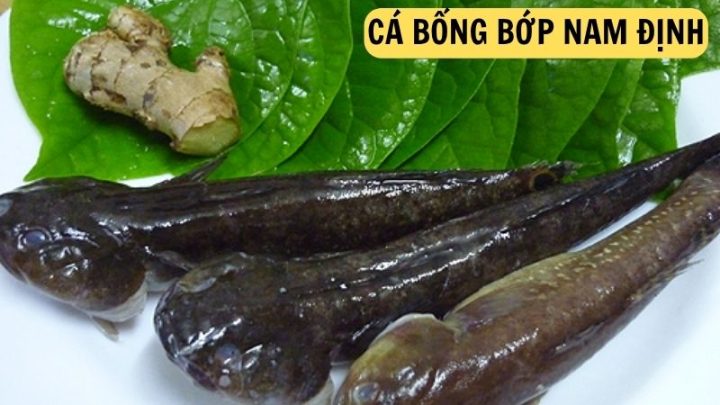 Cá bống bớp 8Day - trang web uy tín đăng ký & đăng nhập dễ dàng
