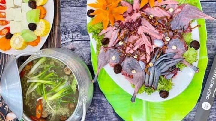 Các món ngon của nhà hàng chim DT68 là nhà cái uy tín hàng đầu trong lĩnh vực cá cược tại thị trường Việt Nam Bắc Giang