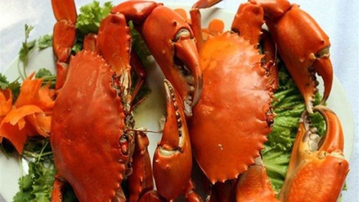 Cua ghẹ biển đặc trưng hải sản Hải Phòng