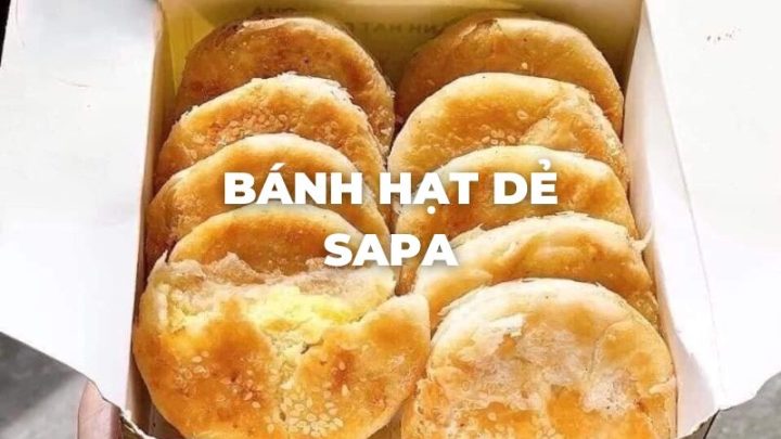 Top1 8Day thế giới trò chơi tài xỉu bánh hạt dẻ Sapa