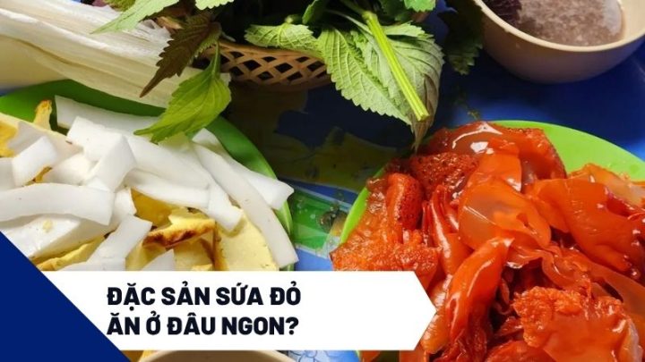 Top1 8Day thế giới trò chơi tài xỉu sứa đỏ ăn ở đâu ngon
