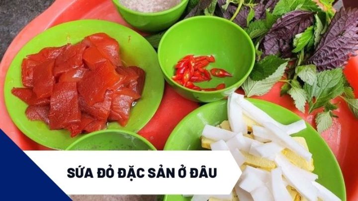 Top1 8Day thế giới trò chơi tài xỉu sứa đỏ