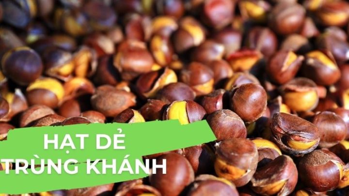 Hạt dẻ Trùng Khánh ngon miệng, bổ dưỡng