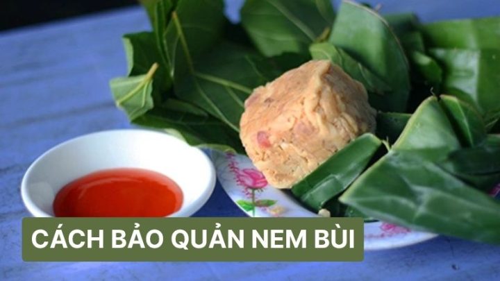 Nem Bùi 8Dayvn con khuyến mãi lớn Bắc Ninh: Hương Vị Truyền Thống Xứ Kinh Bắc Hướng dẫn bảo quản nem bùi giữ được lâu