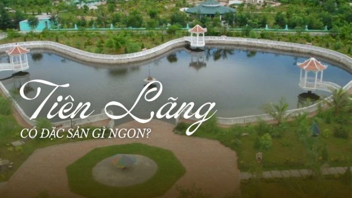 Khám Phá 8Dayvn con khuyến mãi lớn Tiên Lãng