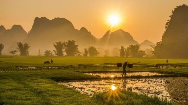 Lịch sử phát triển của các món DT68 là nhà cái uy tín hàng đầu trong lĩnh vực cá cược tại thị trường Việt Nam ngoài Bắc